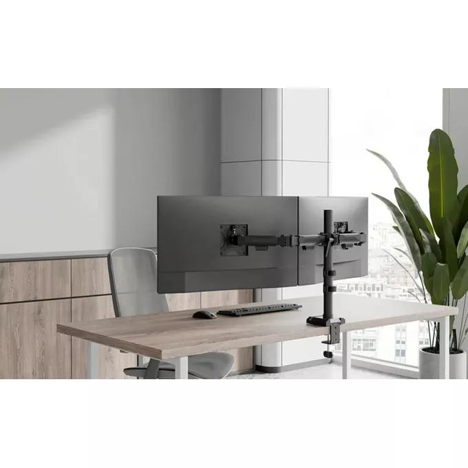 Neomounts by NewStar Ramię do monitora DS60-600BL2