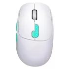 Defender Mysz bezprzewodowa NITTA MM-307 RF+BT 1600DPI 6P biała
