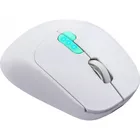 Defender Mysz bezprzewodowa NITTA MM-307 RF+BT 1600DPI 6P biała