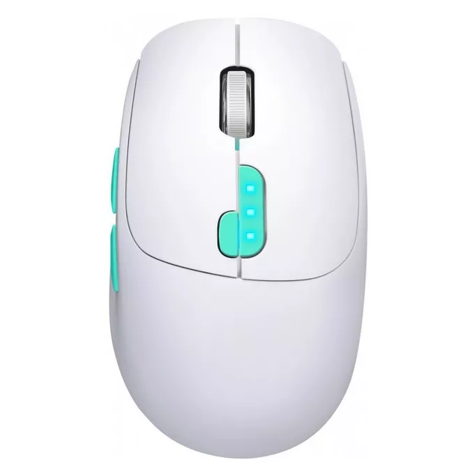 Defender Mysz bezprzewodowa NITTA MM-307 RF+BT 1600DPI 6P biała