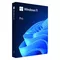 Microsoft Windows Pro 11 64bit ENG USB Flash Drive Box HAV-00163