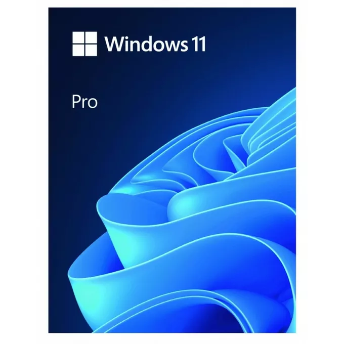 Microsoft Windows Pro 11 ENG Box 64bit USB HAV-00163 Zastępuje P/N: HAV-00060