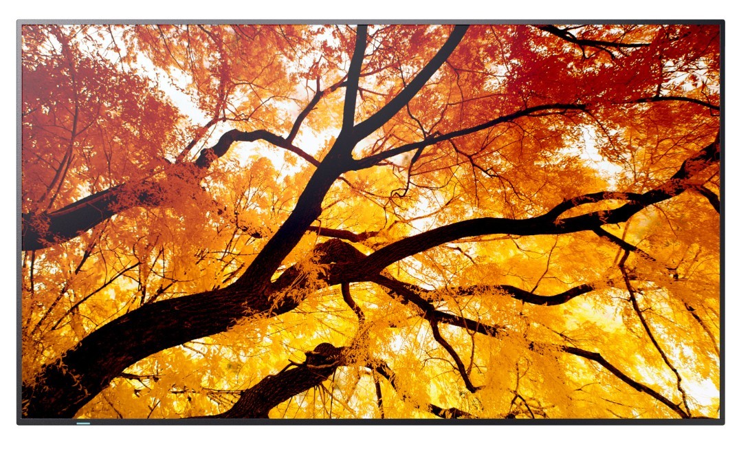 Sharp Monitor wielkoformatowy MultiSync M502 50 cali 550cd/m2 24/7